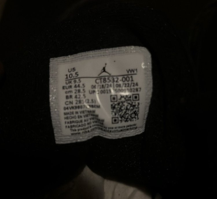Air Jordan 3 Retro Black Cats