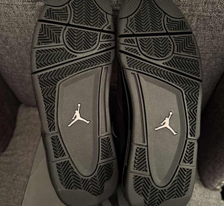 Air Jordan 4 Black Cats