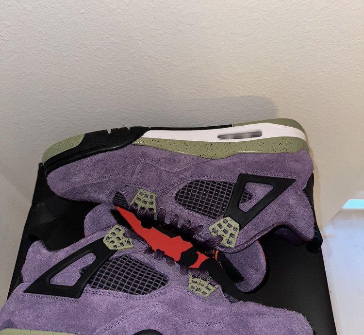 Air Jordan 4 Canyon Purple
