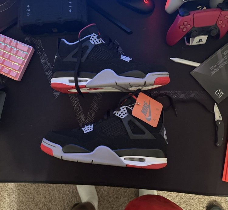 Air Jordan 4 OG Bred 2019