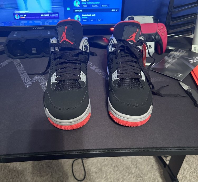 Air Jordan 4 OG Bred 2019