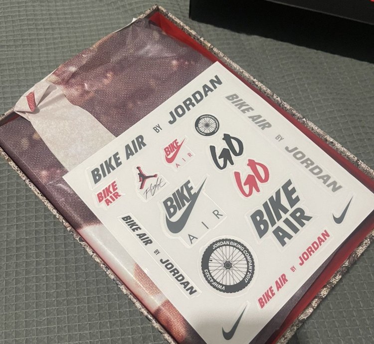Air Jordan 4 RM SP Nigel Sylvester