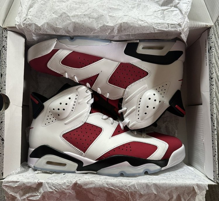 Air Jordan 6 Retro Carmine 2021 size 10