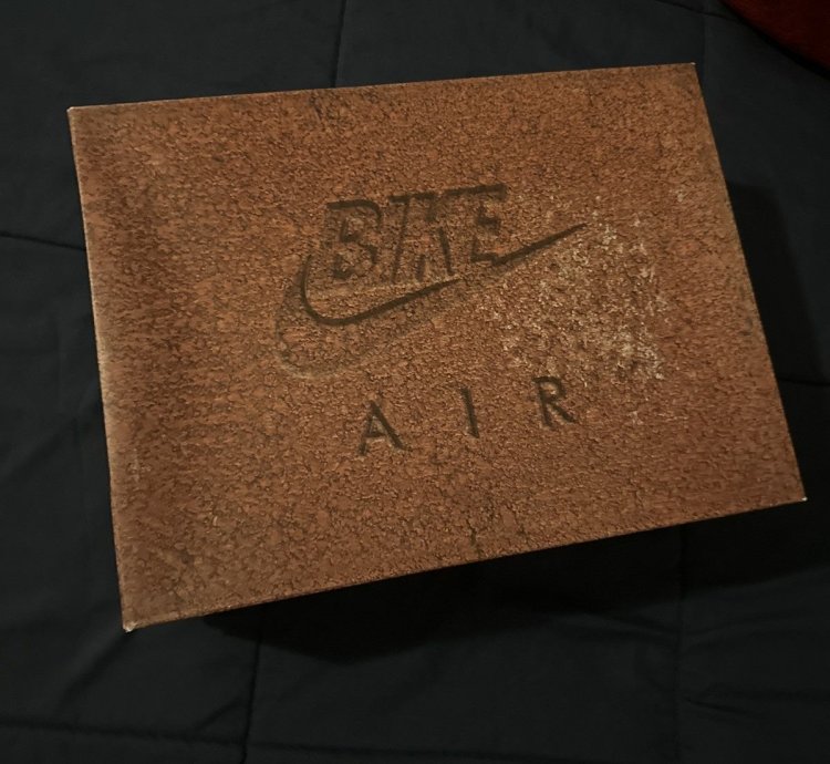 Air Jordan nigel Sylvester (Brick by Brick)