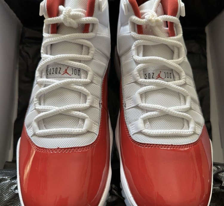 Air Jordan Retro 12s and 11s BUNDLE ORDER