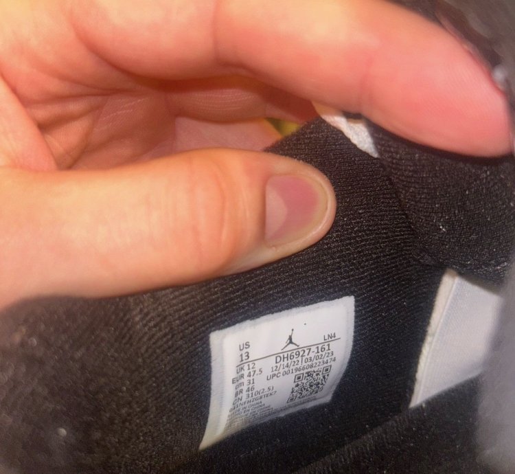 DS Jordan 4 Red Cement