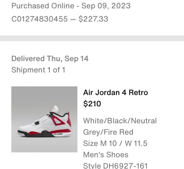 DS Size 10 - Nike Air Jordan Retro 4 Red Cement