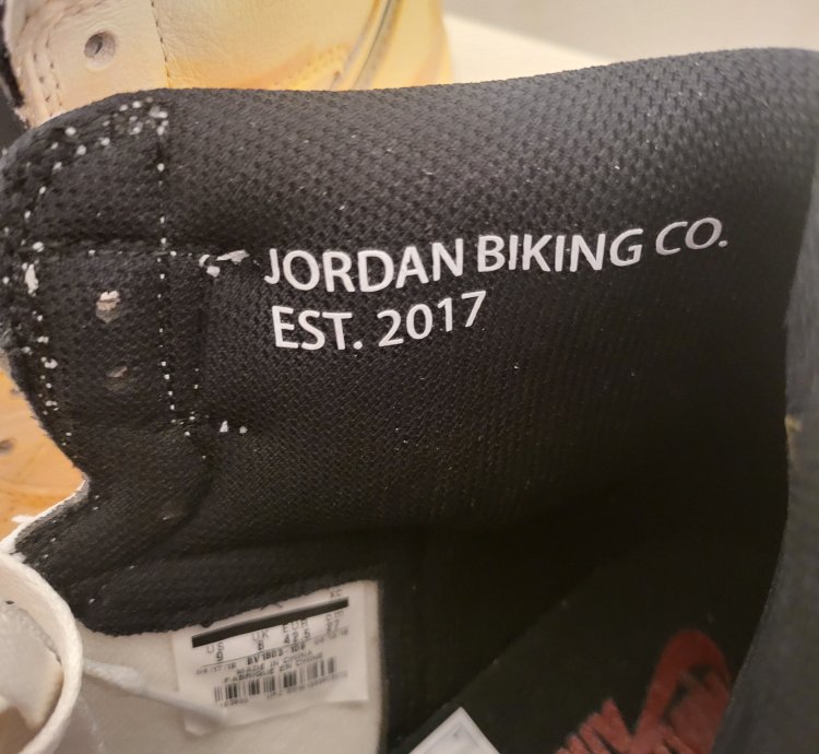 Jordan 1 Retro High Nigel Sylvester