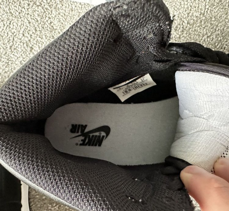 Jordan 1 Retro High Shadow (2018)