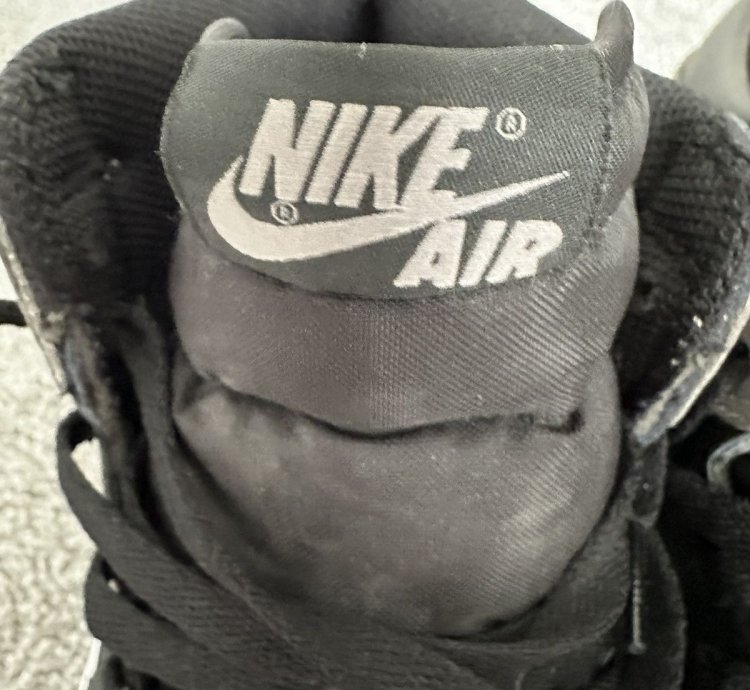 Jordan 1 Retro High Shadow (2018)
