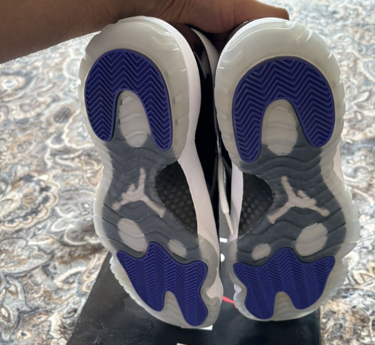 Jordan 11 Retro Concord (2018)