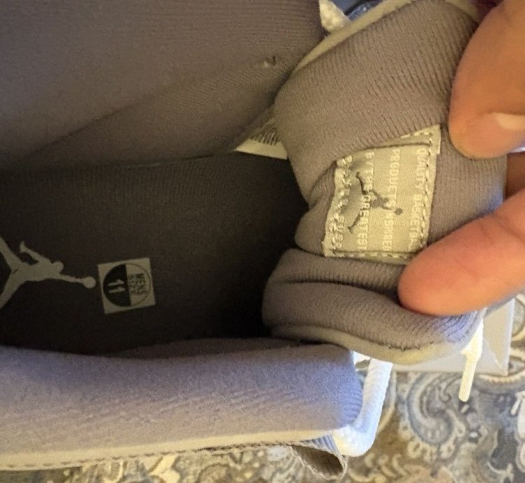 Jordan 11 Retro Cool Grey (2021)