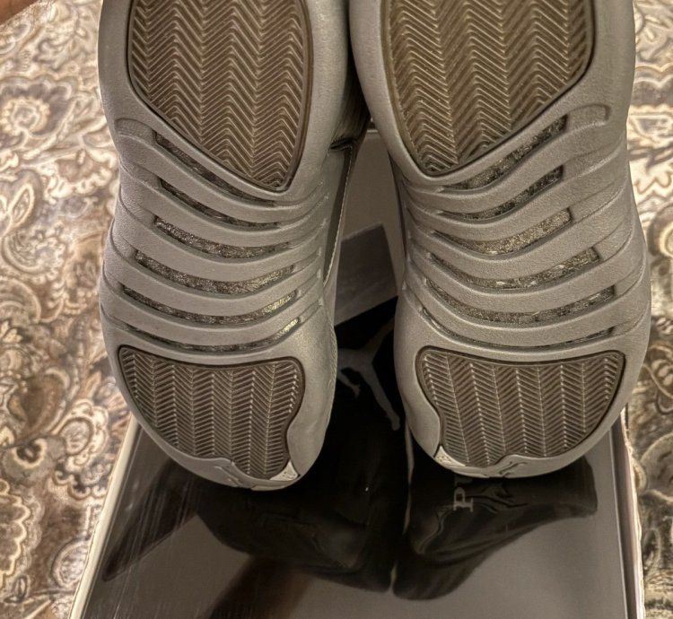 Jordan 12 Retro PSNY (2015)