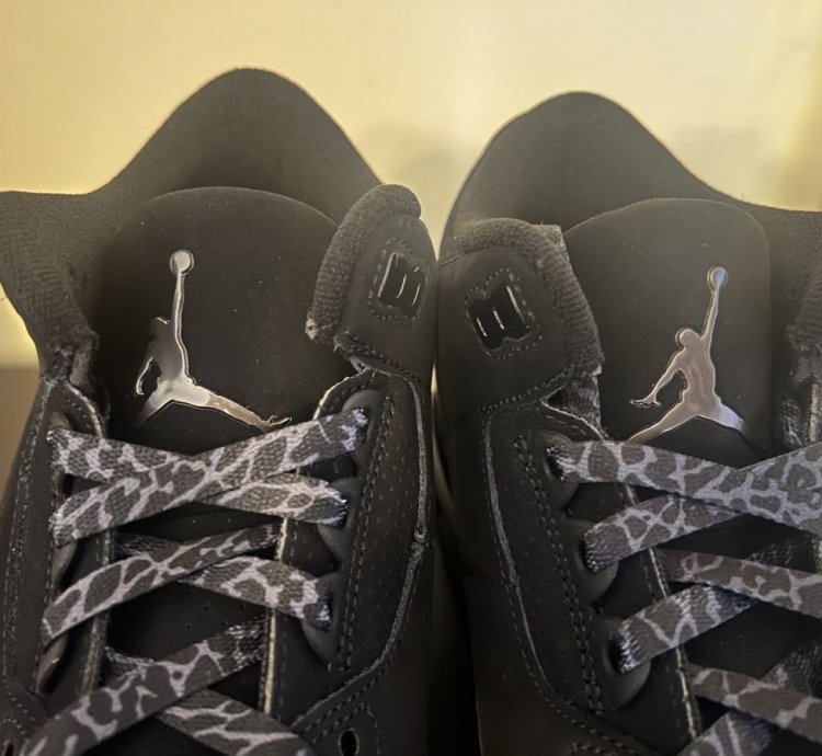 Jordan 3 black cat 9 5