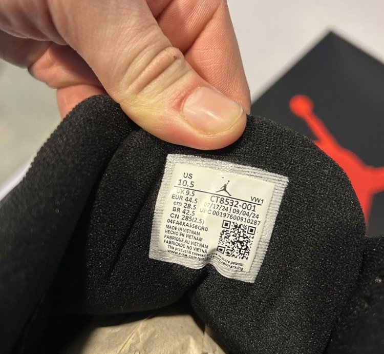 Jordan 3 black cats