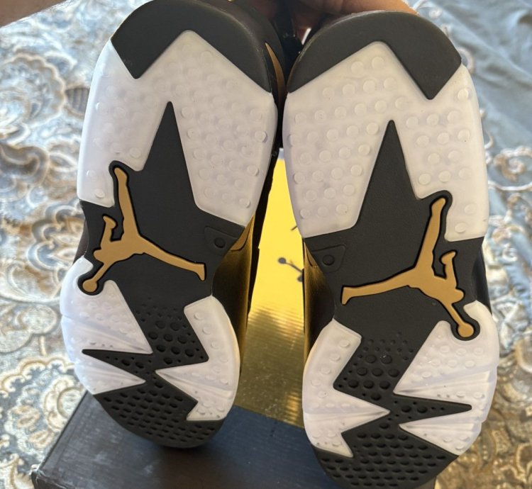 Jordan 6 Retro DMP (2020)
