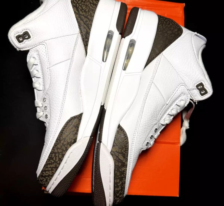 Nike Air Jordan 3 Retro Mocha 2018