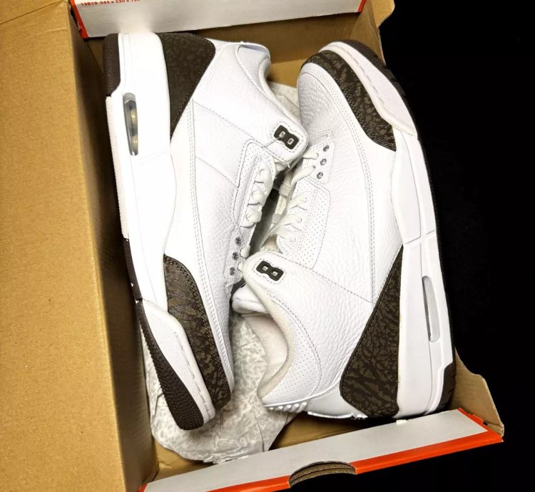 Nike Air Jordan 3 Retro Mocha 2018
