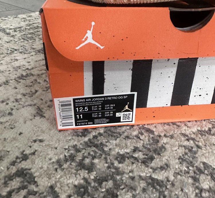 Nike Air Jordan 3 Retro SP Nina Chanel Abney Bicoastal Sz 11