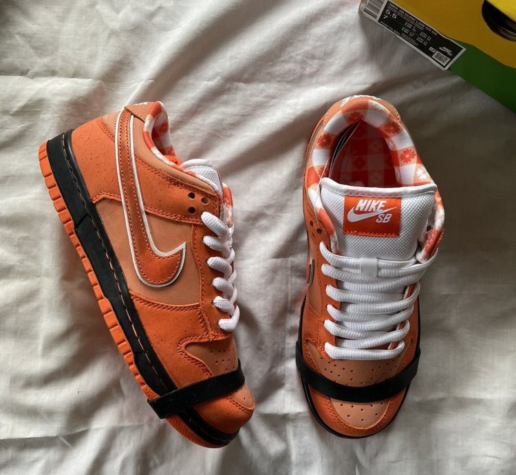 Nike Dunk SB Lobster 5 5US