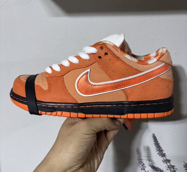 Nike Dunk SB Lobster 5 5US
