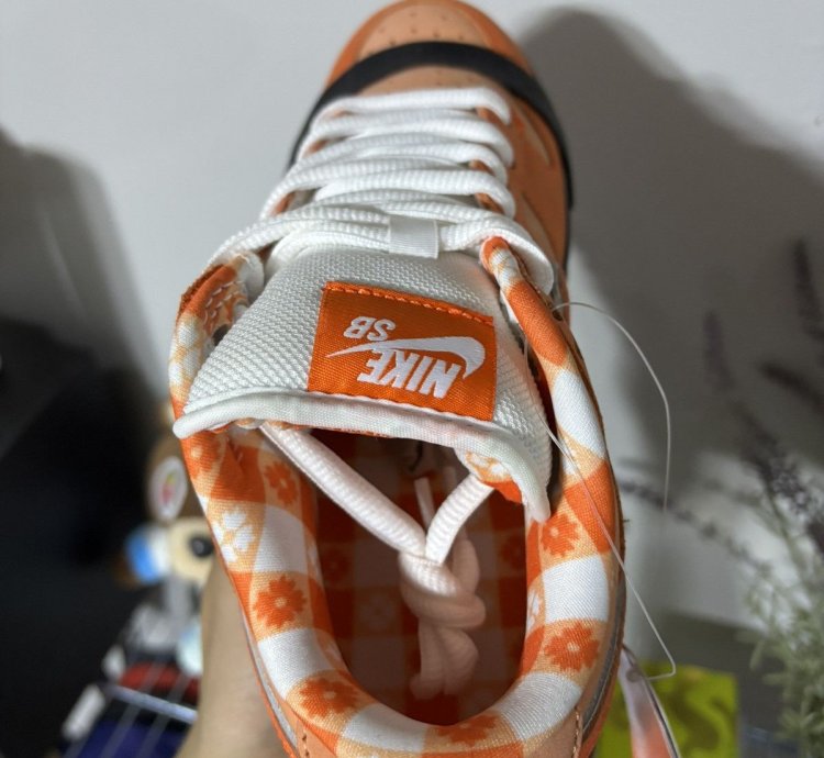 Nike Dunk SB Lobster 5 5US