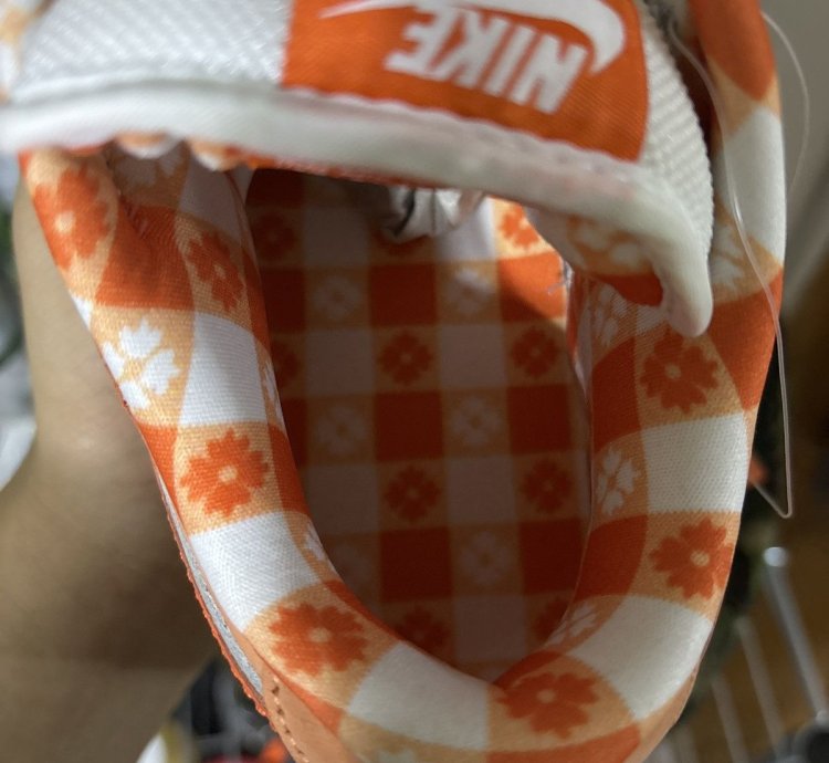 Nike Dunk SB Lobster 5 5US