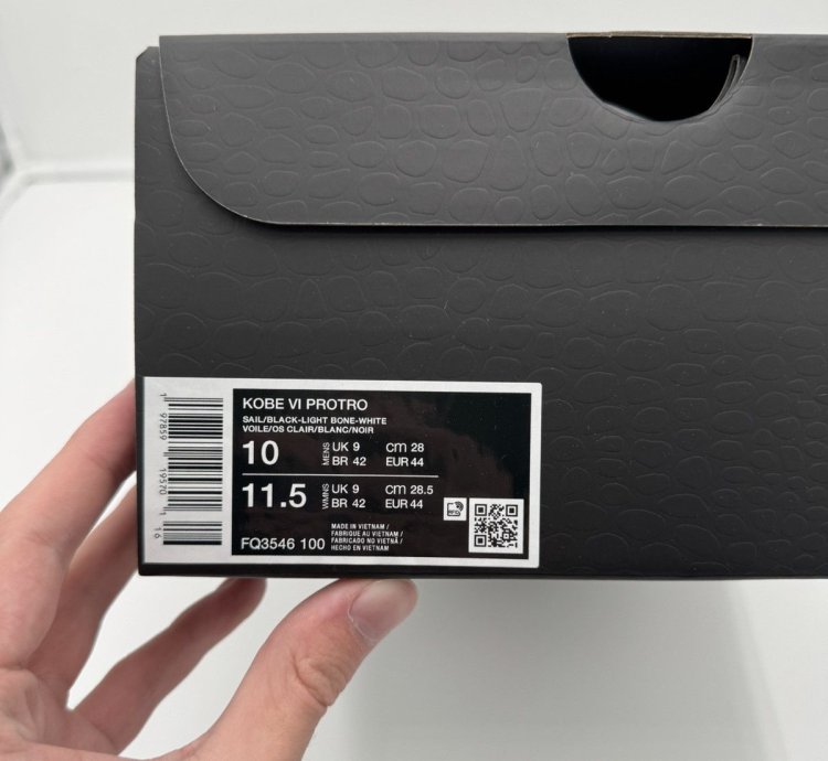 Nike Kobe 6 Protro Sail All Star