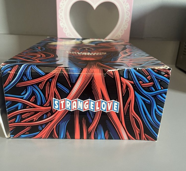 Nike Strange Love SB Special box size 9