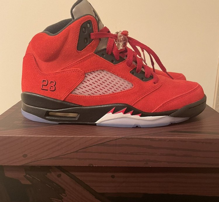 Raging Bull 5s (2021)
