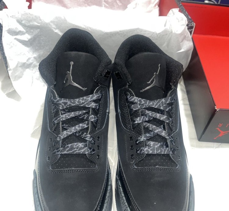 Retro Jordan 3 black cat
