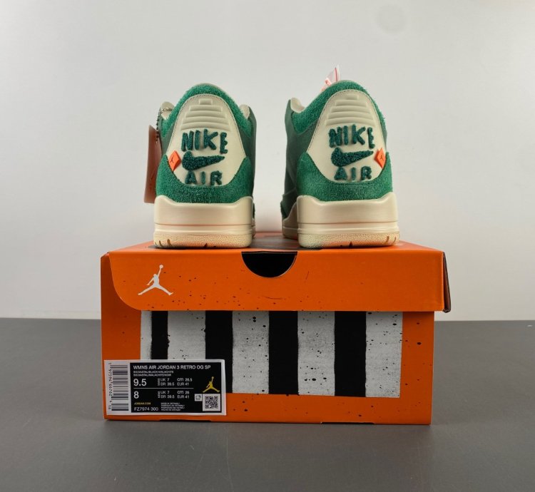 Nina Chanel Abney Air Jordan Air 3 Retro SP Bicoastal