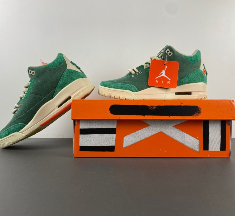 Nina Chanel Abney Air Jordan Air 3 Retro SP Bicoastal