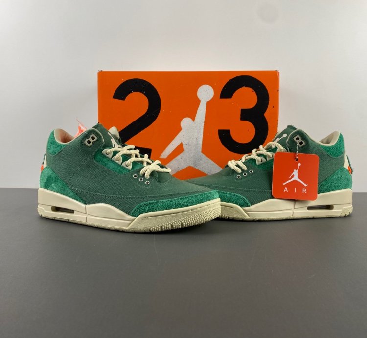 Nina Chanel Abney Air Jordan Air 3 Retro SP Bicoastal