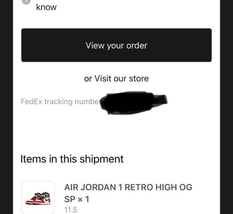 Union La Jordan 1 - Chicago Shadow- size 11 5