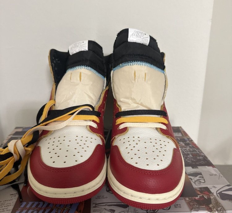 Union LA Jordan 1 Chicago Shadow