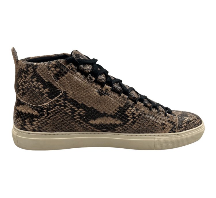 Arena High Python Effect