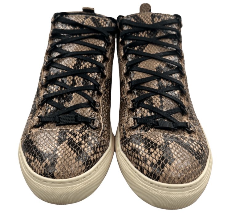 Arena High Python Effect