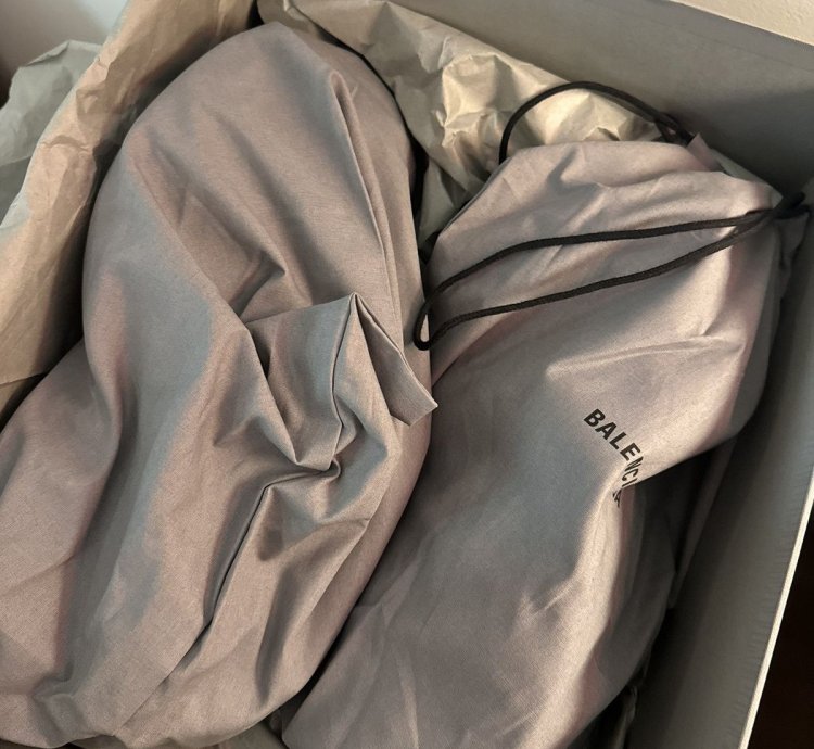 Balenciaga Steroid Low