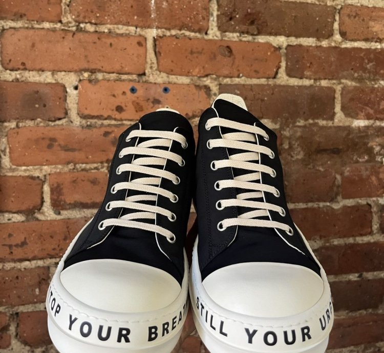 BNIB Rick Owens Ramones Low top sneakers 2023