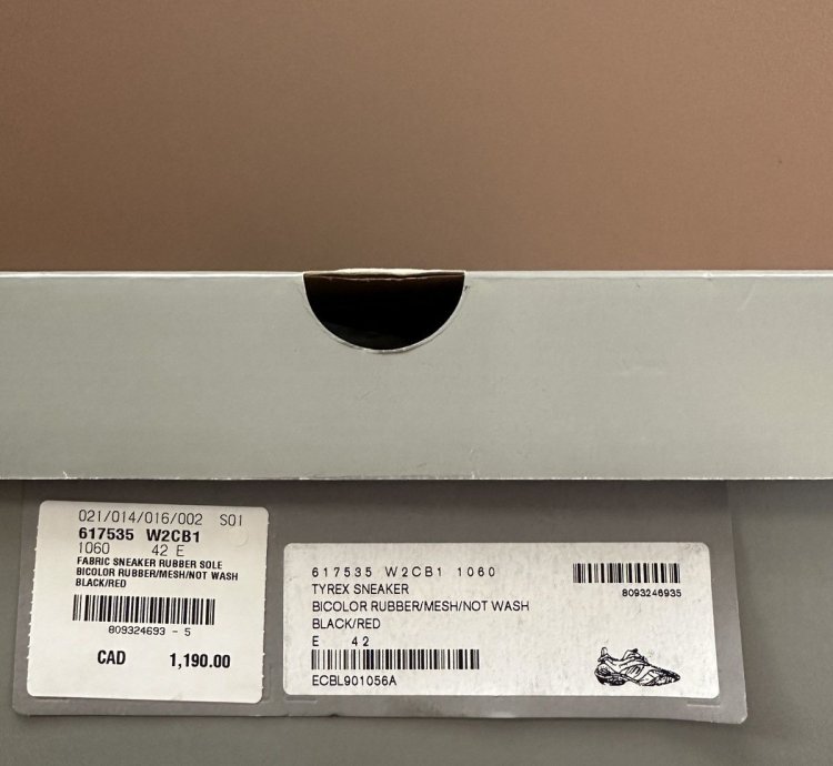 BRAND NEW NEVER WORN Balenciaga Tyrex