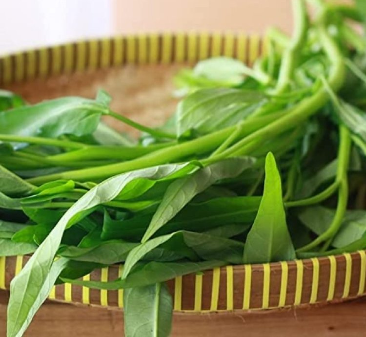 Water Spinach Seeds (Ipomoea aquatica) – Kalmi Saag Seeds for Home Gardening
