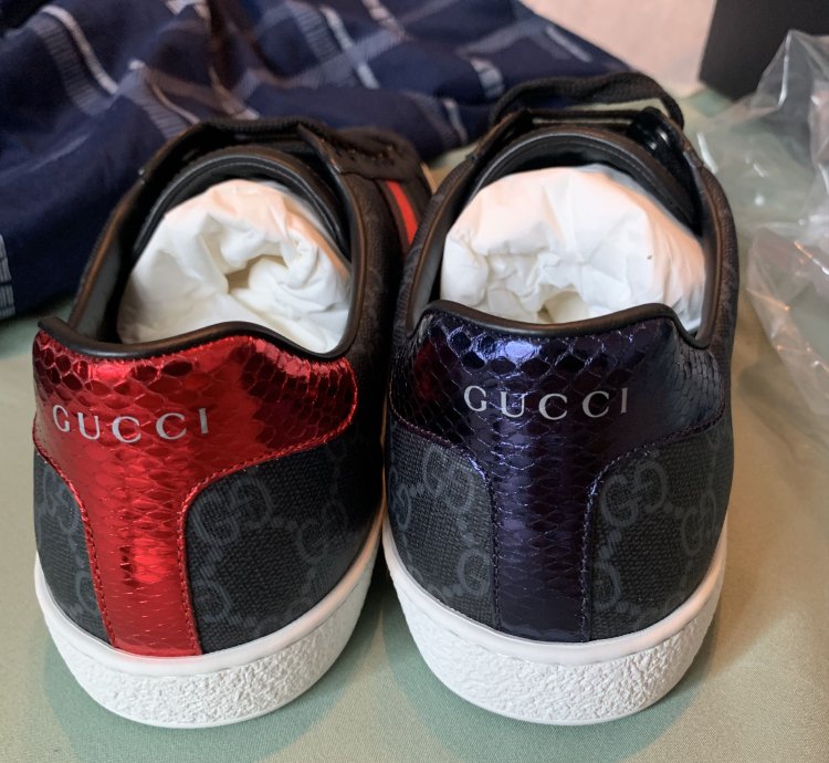 Ace GG Supreme Sneaker