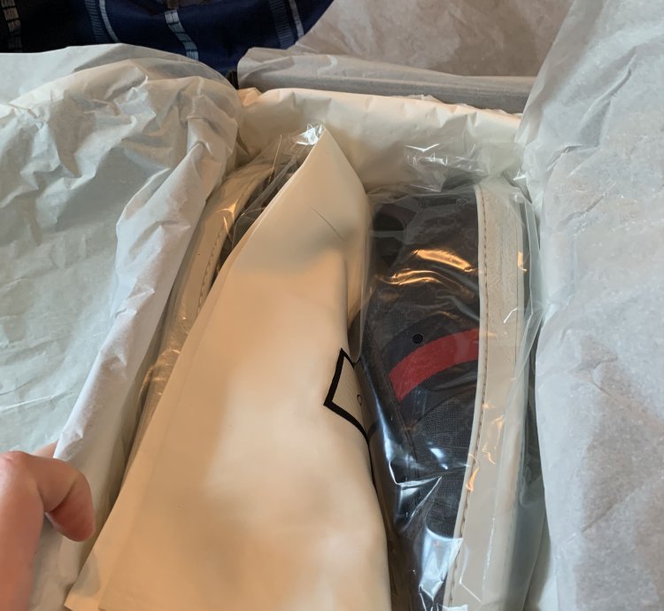 Ace GG Supreme Sneaker