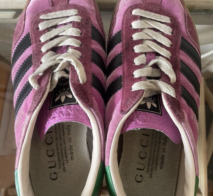 adidas Gucci
