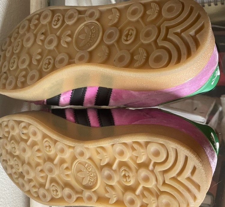 adidas Gucci