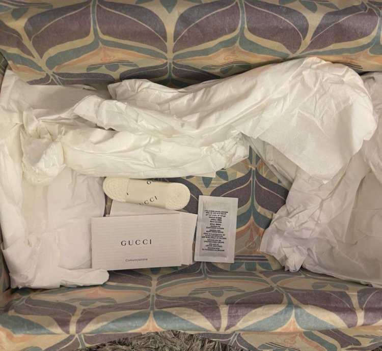 Adidas Gucci Gazelle