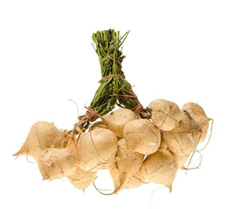 Pachyrhizus (Yam Bean) Seeds – Shankh Aloo for Home Gardening | 100+ Seeds