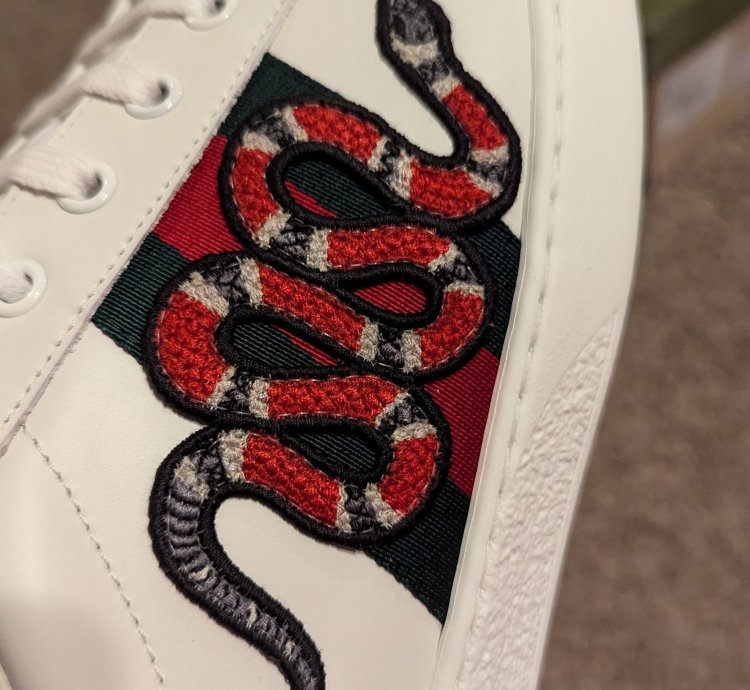 Gucci 13 5 snake ace sneakers