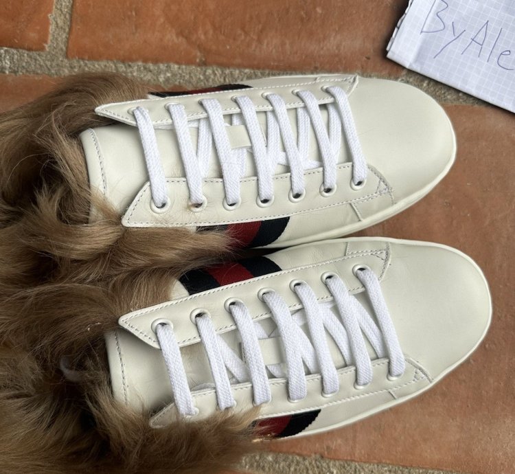 Gucci Ace Fur Low-Tops